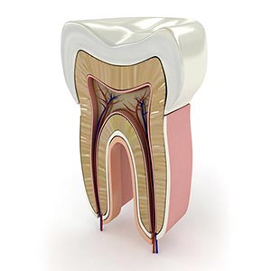 tratamiento-endodoncia